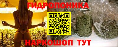 мдпв Бердск