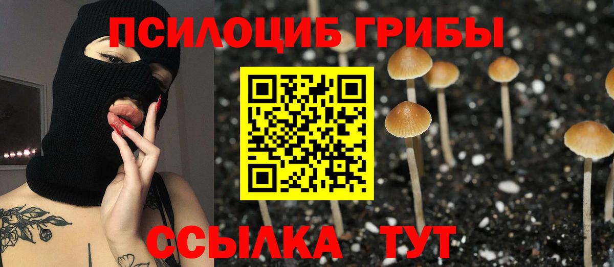 Галлюциногенные грибы мухоморы Долгопрудный
